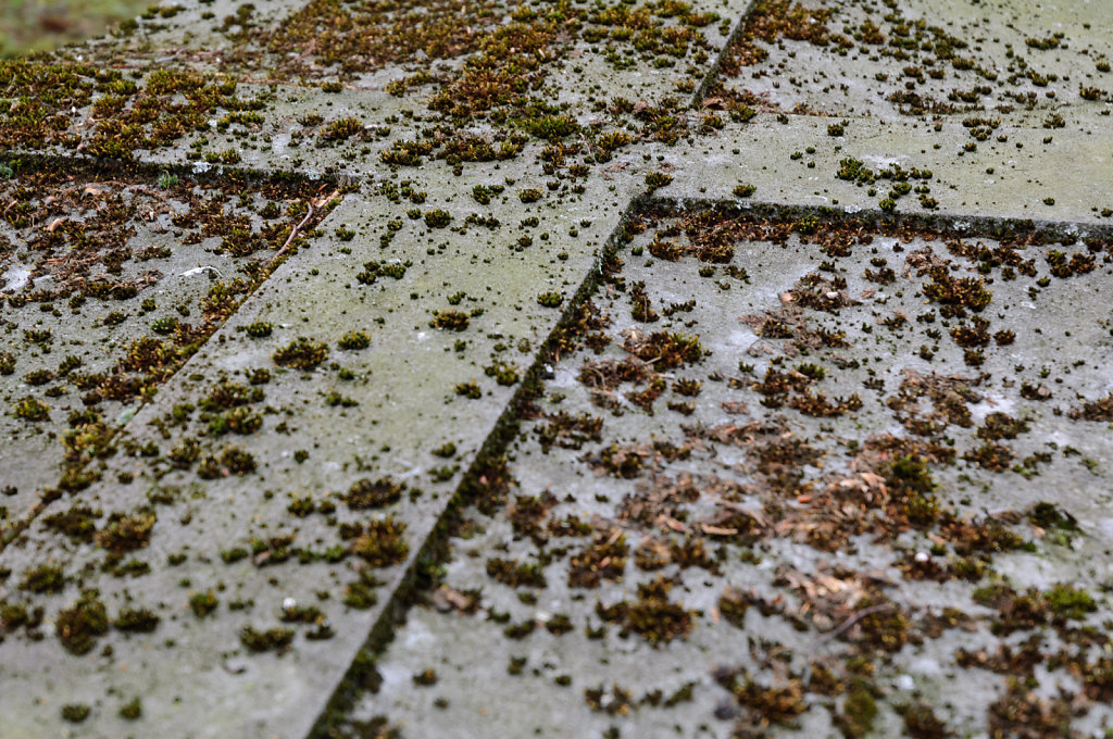 Oud Kerkhof Hasselt - Detail of Grave